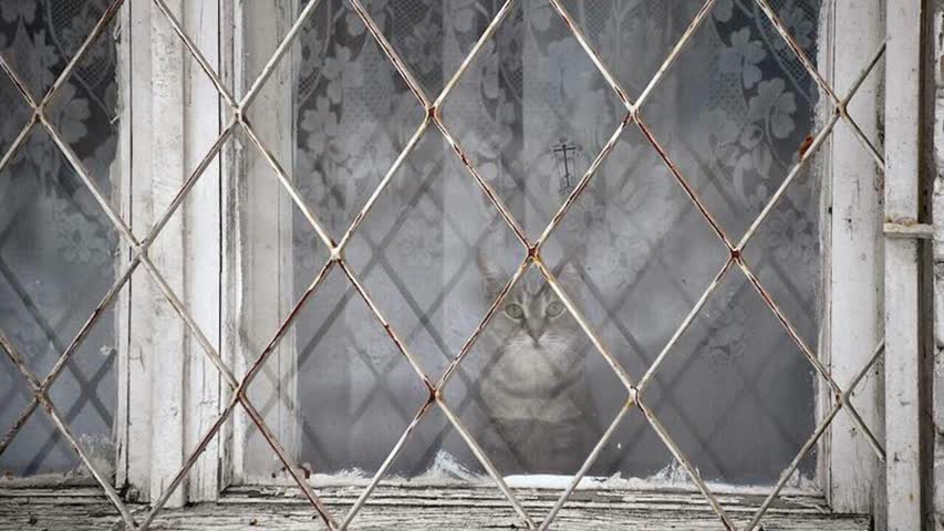 Фото - Россиянам разъяснили правила установки решеток на окна