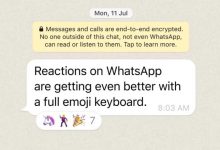 Фото - WhatsApp позволит использовать любые эмодзи в качестве реакций на сообщения