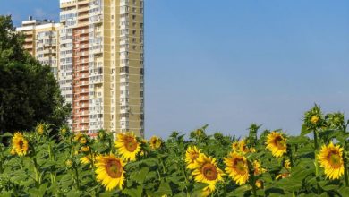 Фото - В Госдуме предложили создать организации по спасению бесхозных домов