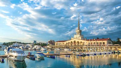 Фото - Чаще всего в Москву в конце августа возвращаются из Сочи