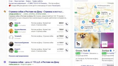 Фото - Как работает региональное продвижение сайта: особенности локального SEO в Яндексе и Google. Виды и типы, полезные фишки