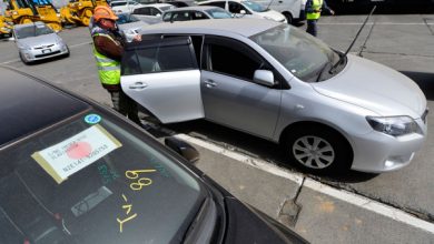 Фото - Самые надежные японцы: что советуют покупать перегонщики