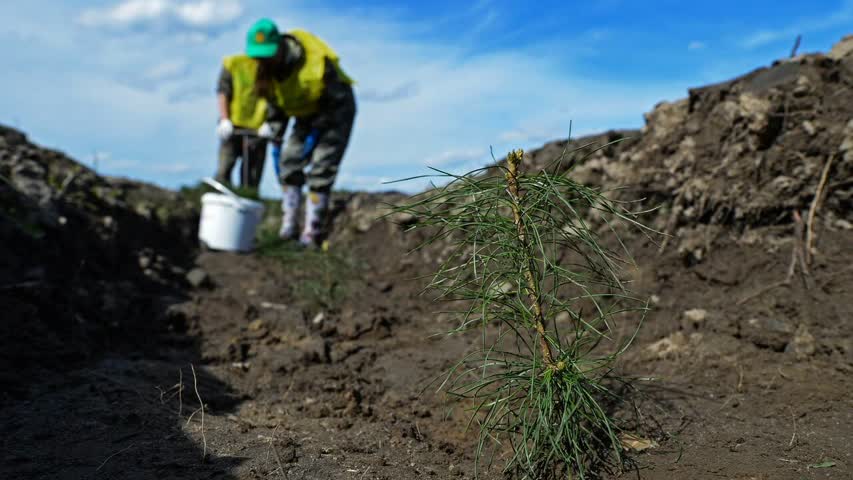 Фото - Сбер поможет Нижегородской области в реализации зеленых проектов