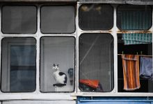 Фото - В Оренбурге женщина отсудила у коммунальщиков возмещение за машину, разбитую упавшим стеклом
