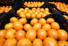 Фото - В Португалии раздают апельсины из-за отсутствия покупателей на фоне санкций против РФ