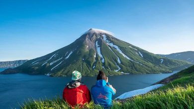 Фото - За один день продажи по России выросли в 4 раза