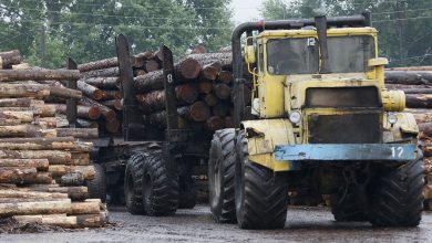 Фото - Жители Франции стали переходить на дрова из-за роста цен на газ