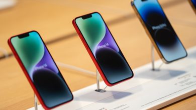 Фото - Apple запустила производство iPhone 14 в Индии — компания избавляется от зависимости от Китая