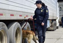 Фото - Экономист оценил возможность продления параллельного импорта после 2023 года