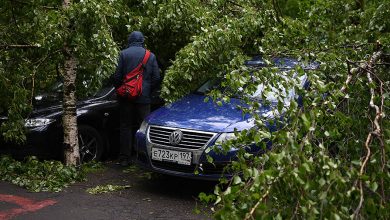 Фото - Эксперт Травин рассказал, как получить компенсацию за разбитое ураганом авто