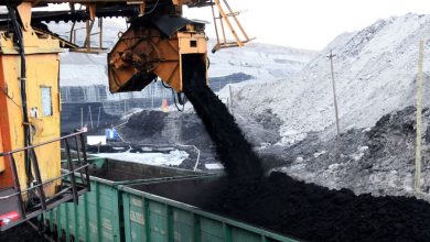 Фото - Глава «Колмара» Цивилева заявила об отказе Японии и Южной Кореи от российского угля