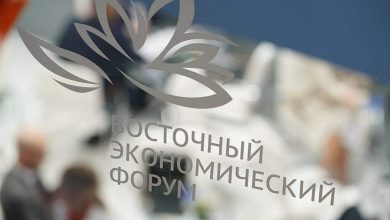 Фото - Глава Vision Group обозначил экономическую важность Владивостока для Индии