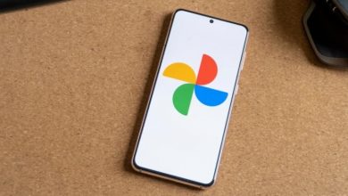 Фото - Google Photos уличили в порче пользовательских снимков — компания уже работает над устранением проблемы