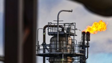 Фото - Индия сэкономила на закупках дешевой российской нефти с февраля свыше $439 млн