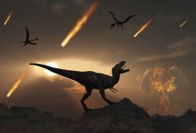 Фото - Метеорит ни при чём? Китайские ученые полагают, что динозавры начали вымирать до падения метеорита