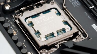 Фото - На встроенной графике Ryzen 7000 оказалось можно играть в TES: Skyrim, Battlefield V и многие другие игры