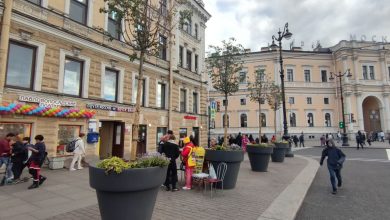 Фото - «Нецелесообразно». Чиновники не дали активистам высадить липы в центре Петербурга