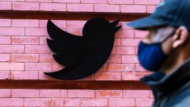 Фото - Нидерландский город судится с Twitter из-за публикаций о «сатанистах-педофилах»