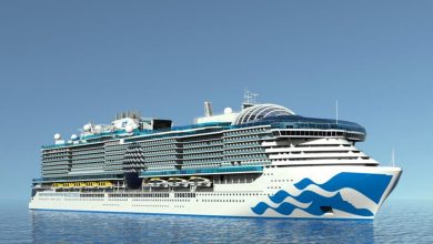 Фото - Опубликовано фото «самого роскошного» круизного лайнера Sun Princess