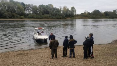 Фото - Пятеро детей заблудились в лесу рядом с Уфой