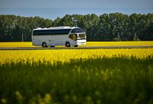 Фото - По Европе на автобусах: как бюджетно путешествовать и не бояться пограничников