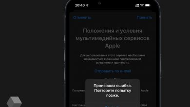 Фото - Пользователи iOS 16 потеряли возможность обновлять приложения в App Store