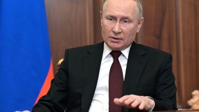 Фото - Путин: рынок должен быть занят производителями из России, когда вернутся иностранцы