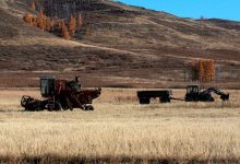 Фото - Reuters: глава ВТБ предложил Путину ограничить сделки западных трейдеров зерна в РФ