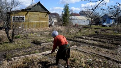 Фото - Россиянам объяснили, как спасти дачные посадки от заморозков