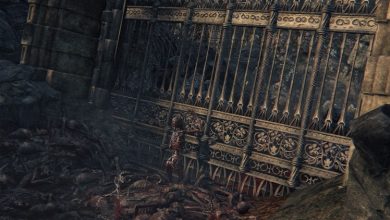 Фото - Слухи: Sony не составит труда обновить Bloodborne без помощи FromSoftware, в направлении ПК-версии компания уже работала