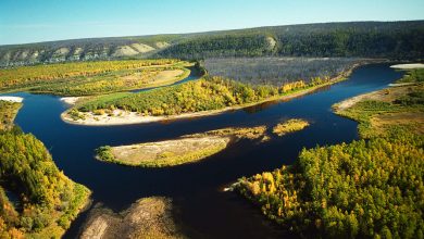 Фото - Ученые обнаружили новых жителей в деревнях-призраках на реке Лене