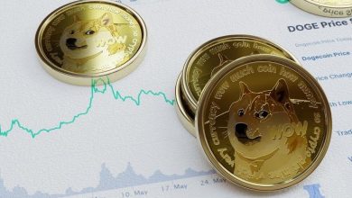 Фото - В деле против Илона Маска и Dogecoin на $258 миллиардов появились новые истцы и ответчики