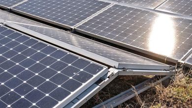 Фото - В Приамурье построят крупнейшую в регионе солнечную электростанцию