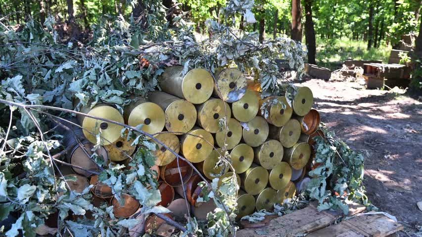 Фото - В России прокомментировали сообщения о закупке боеприпасов в КНДР