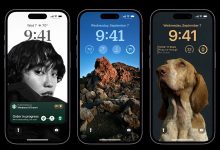 Фото - В новой функции iPhone 14 Pro обнаружили секретные возможности