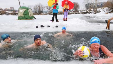 Фото - Врачи выяснили, что моржевание активирует «хороший» бурый жир