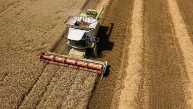 Фото - WSJ: низкий урожай в США усугубит мировой продовольственный кризис