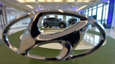 Фото - Американских поставщиков Hyundai обвинили в использовании детского труда