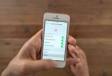 Фото - Apple не вернёт Touch ID в старшие iPhone, хотя и тестировала новые сканеры отпечатков