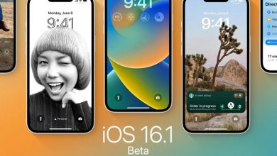 Фото - Apple выпустила четвёртую бета-версию iOS 16.1 для разработчиков