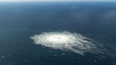 Фото - Береговая охрана Швеции сообщила, что больше не наблюдает утечку на «СП — 2»