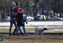 Фото - Большинство россиян считают прогулки лучшим способом снять стресс