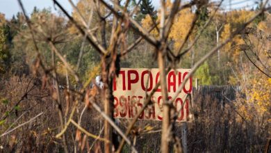 Фото - Дачникам установят сроки для освоения земли