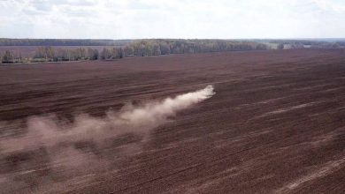 Фото - Для строительства агрокомплекса в подмосковном Зарайске передано еще более 6 гектаров земли