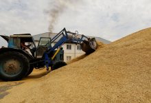Фото - Госдеп: у США нет возражений против поставок зерна и удобрений РФ на мировые рынки