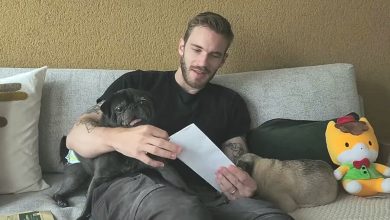 Фото - Японский губернатор пригласил собак PewDiePie посетить его регион