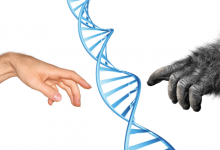 Фото - Как палеогенетика помогла расшифровывать ДНК древних людей?