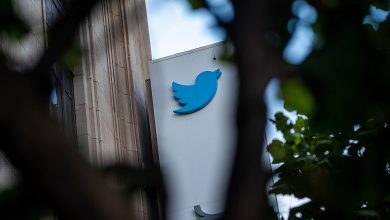 Фото - Неужто купит? В Twitter заблокировали биржевые счета сотрудников в ожидании сделки с Маском