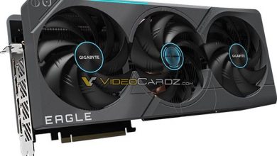 Фото - Появились изображения видеокарты Gigabyte GeForce RTX 4080 Eagle OC