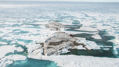 Фото - По древним костям ученые установили, как люди выживали в Гренландии